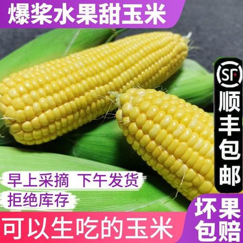 00/吨自家农户种植白糯玉米粒,长期大量供应!